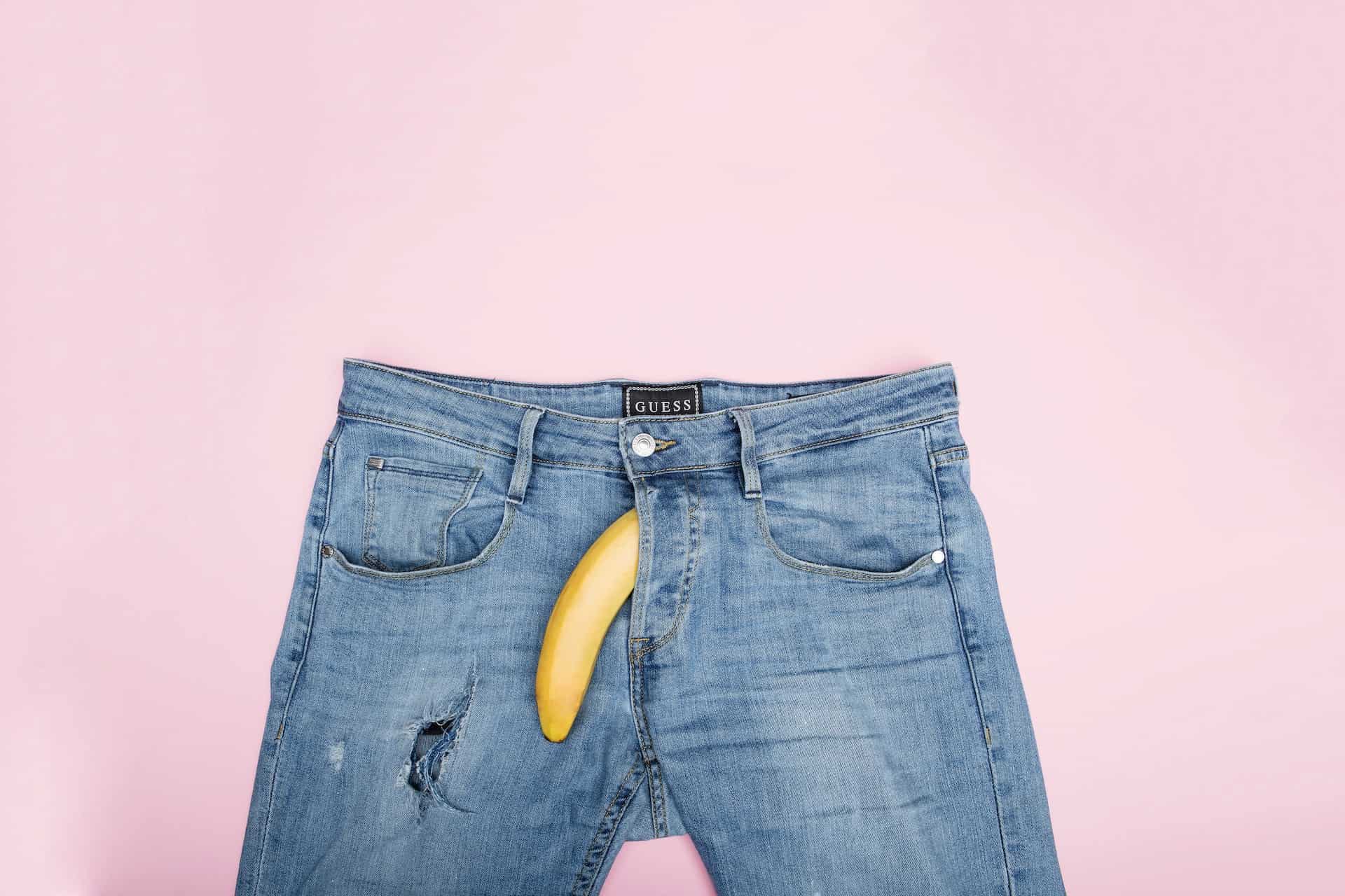 A banana placed downwards at the crotch of a pair of jeans.