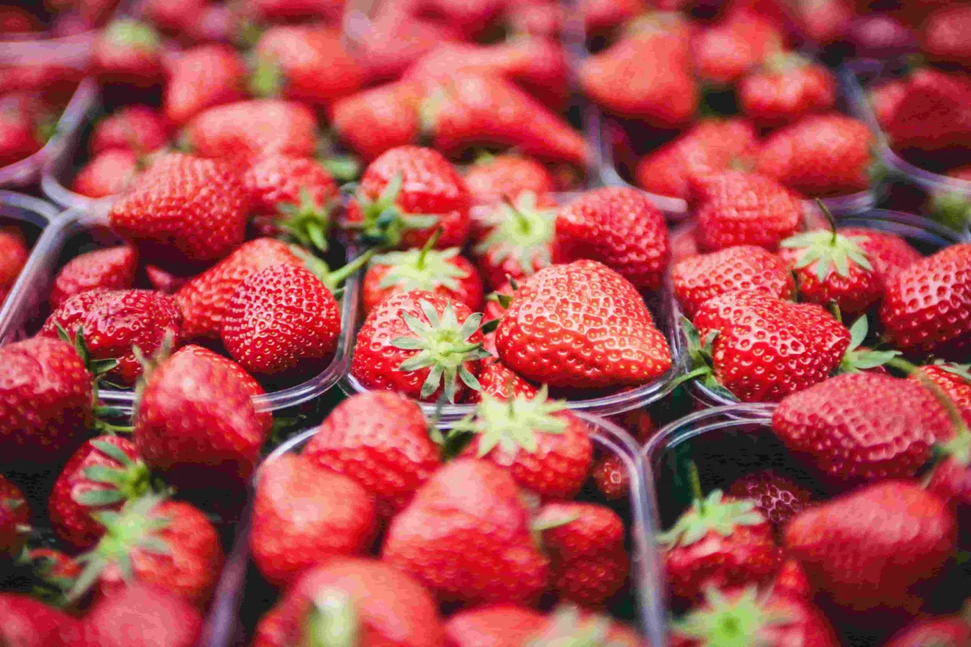 Punnets of strawberries