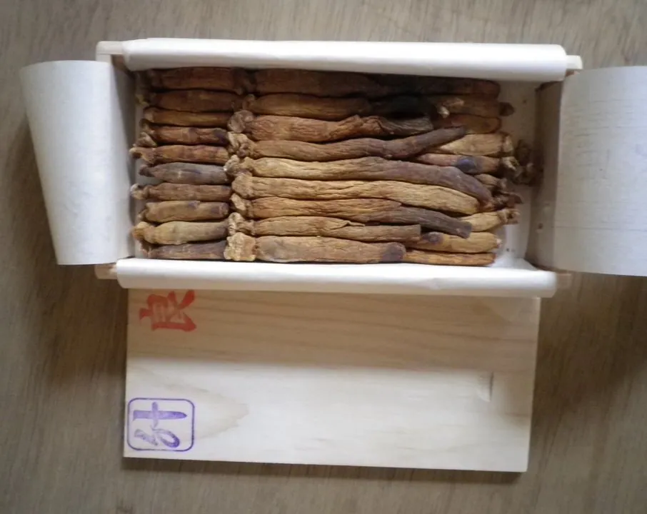 A stock of Korean Red Ginseng in a cabinet
