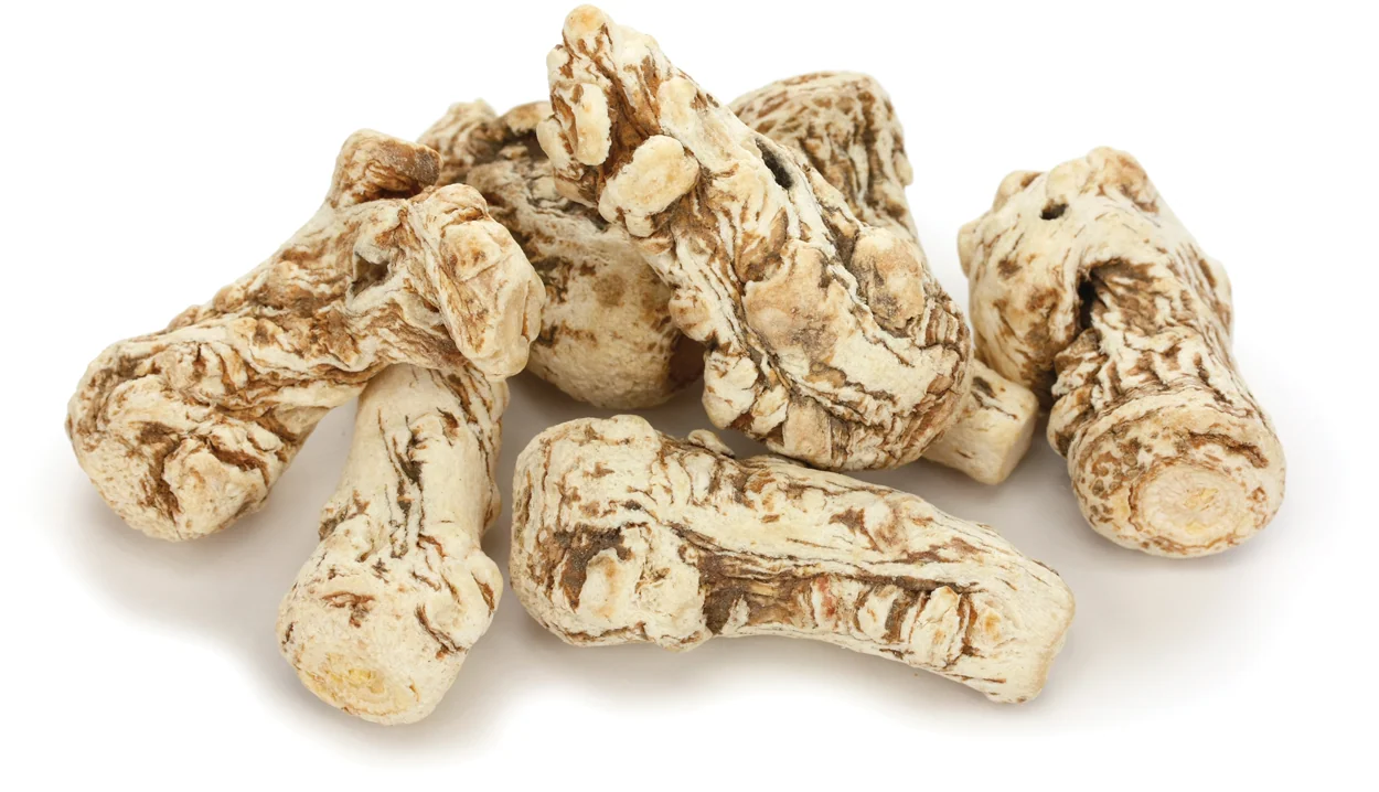 A cluster of Chinese Angelica Root (Dang Gui) against a white background