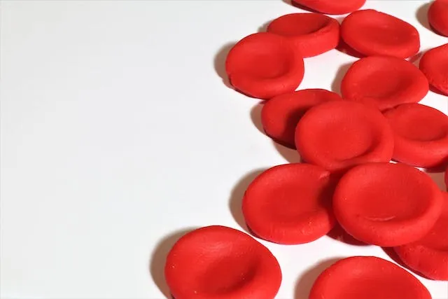 Red blood cell models against a white background